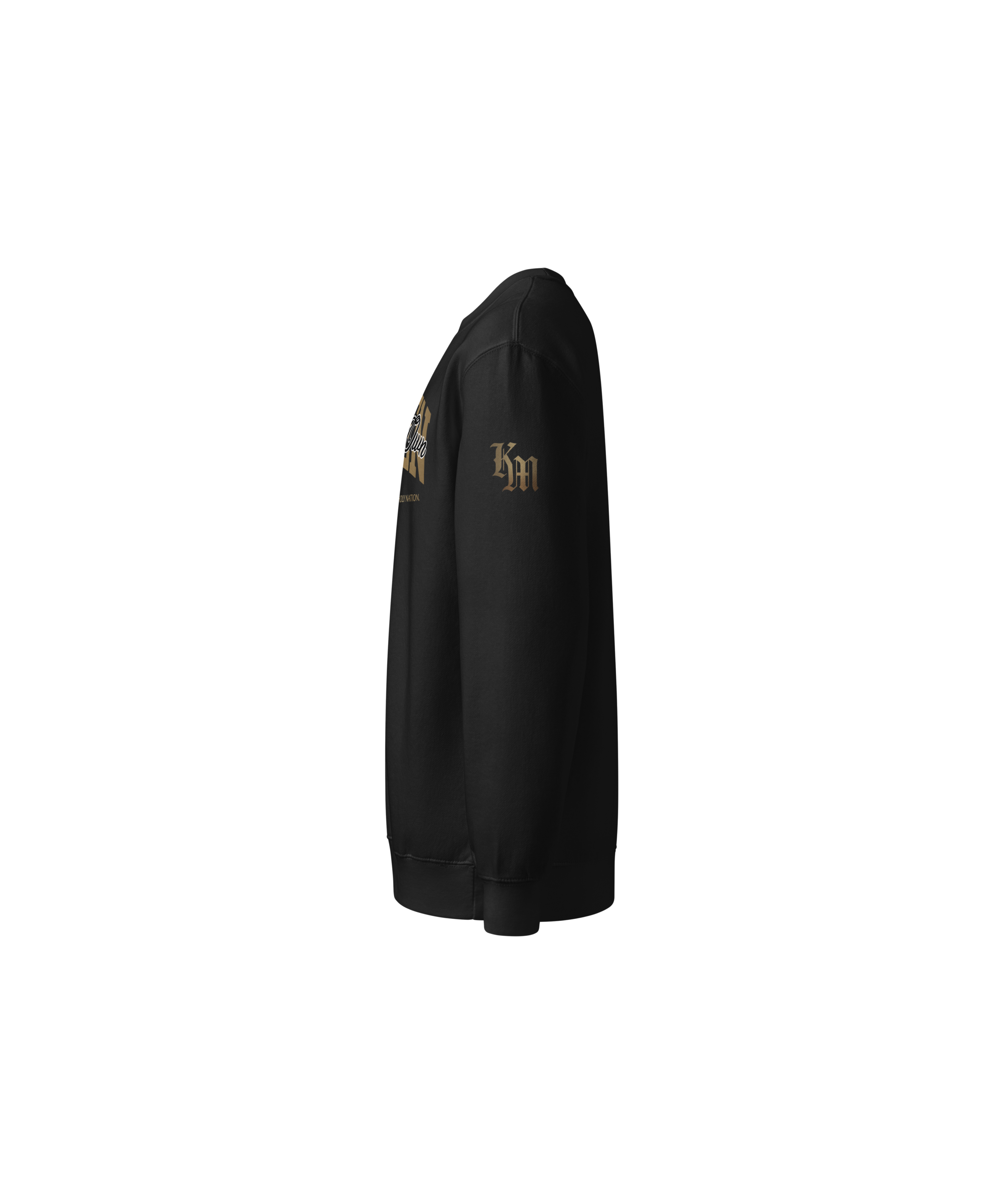 Chosen Standard Sweatshirt — Black — Left