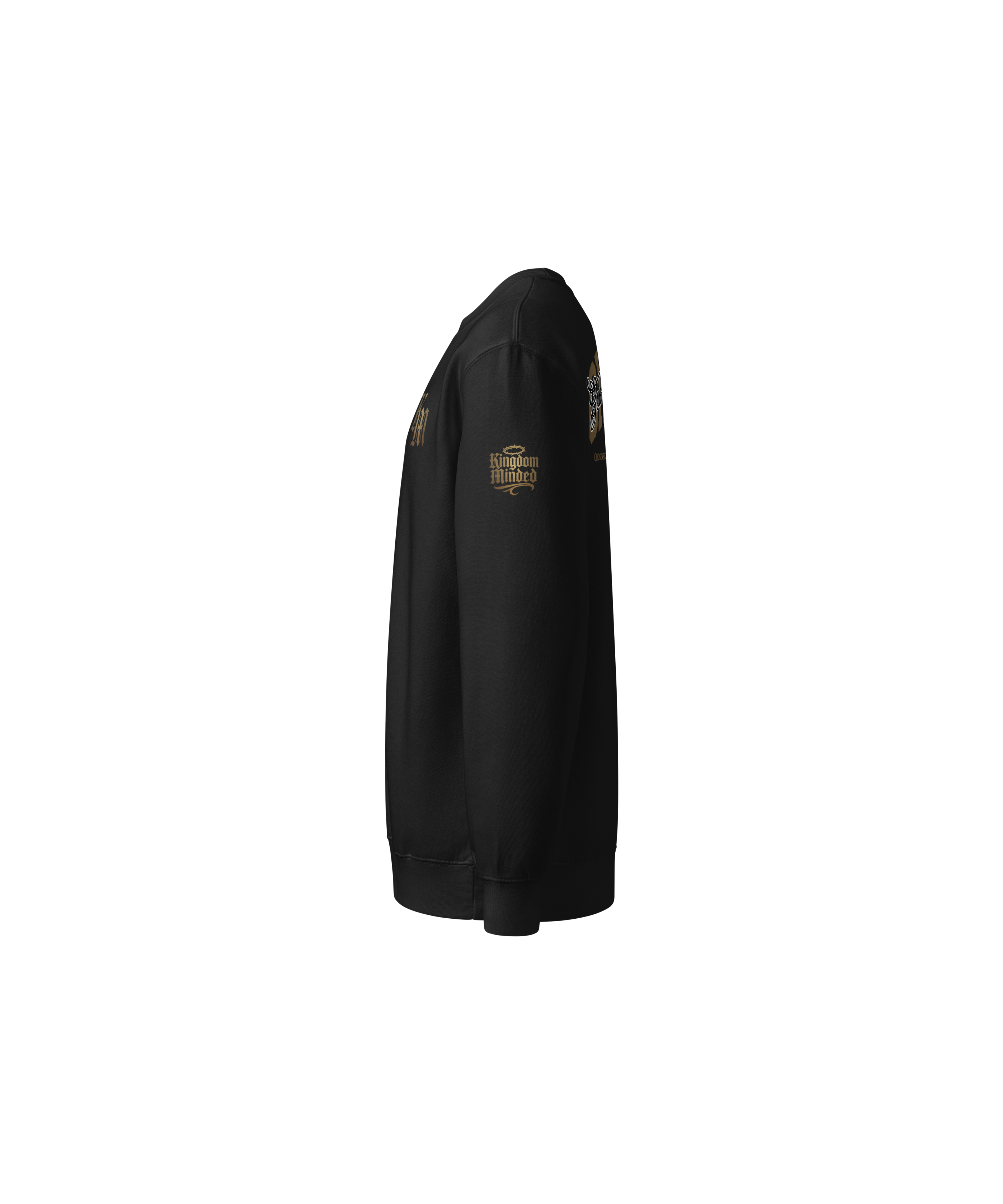 Chosen Premium Sweatshirt — Black — Left