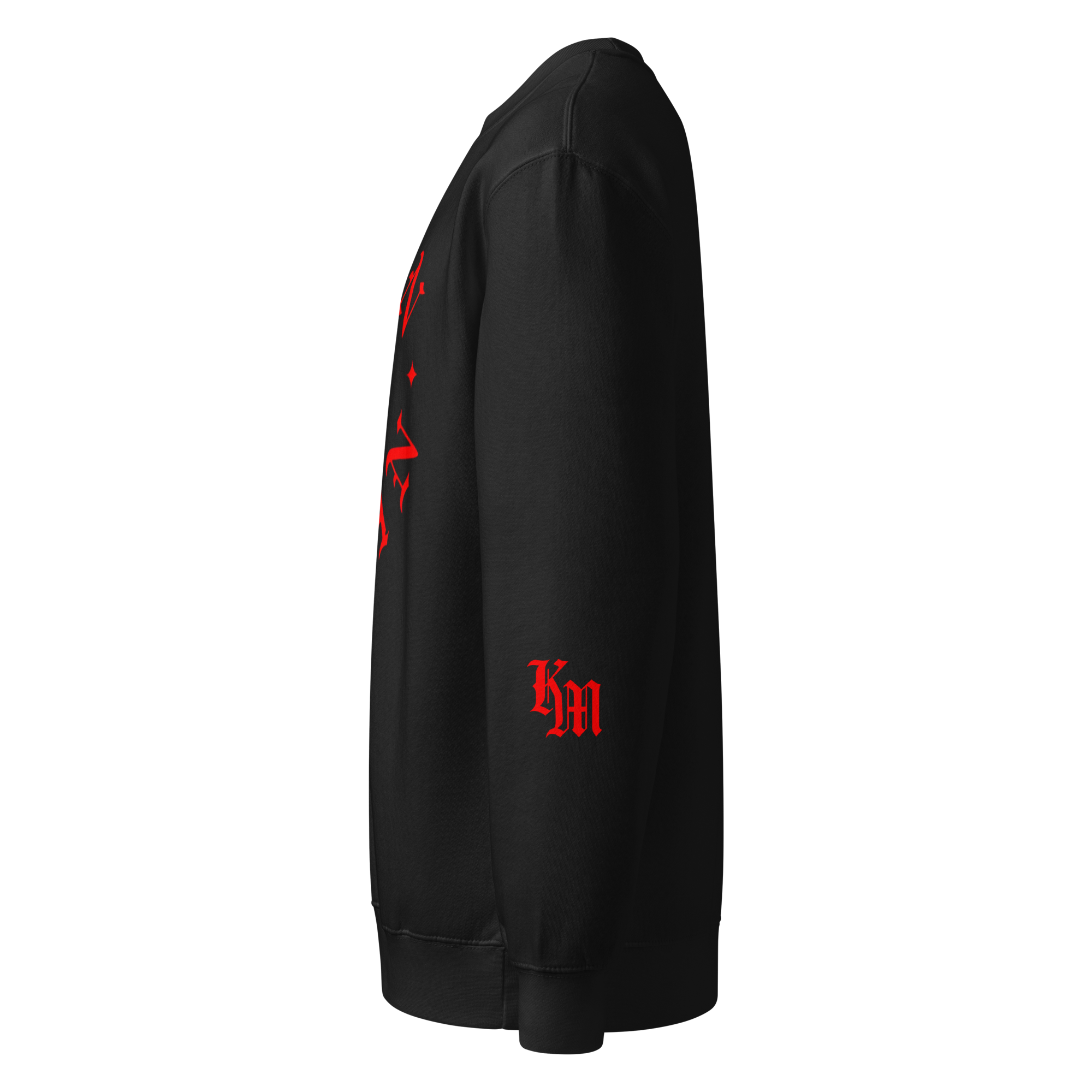 Born Again Standard Sweatshirt — Black — Left