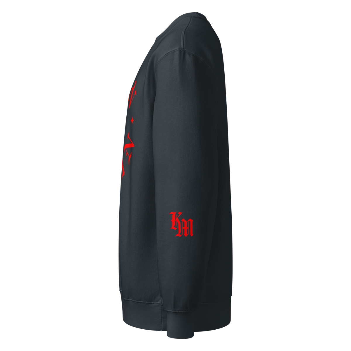 Born Again Standard Sweatshirt — Navy — Left