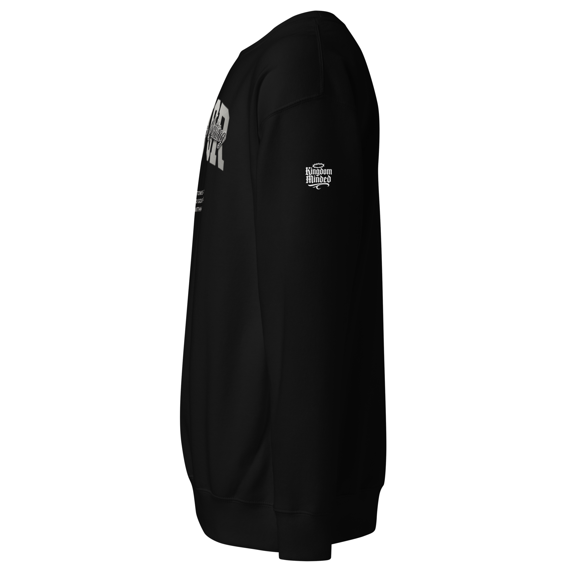 Favor Standard Sweatshirt — black — Left