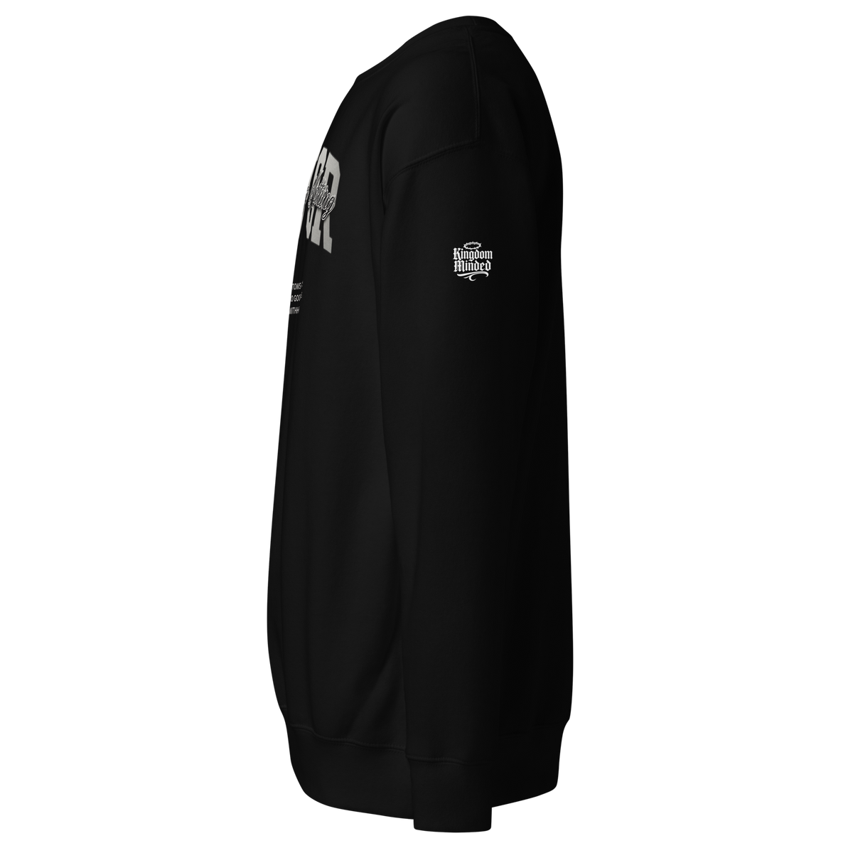Favor Standard Sweatshirt — black — Left